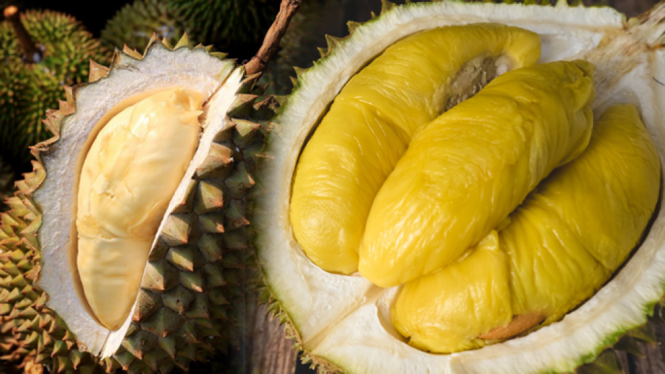 durian-meyvesinin-yararlari-nelerdir-durian-nasil-tuketilir-tgumVDgt.png